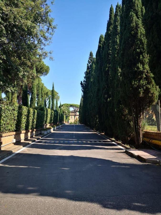 Aurelia City Garden Lägenhet *
